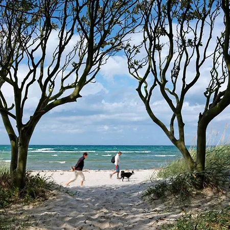 Haus Suedwester Hummer * Insel Poel